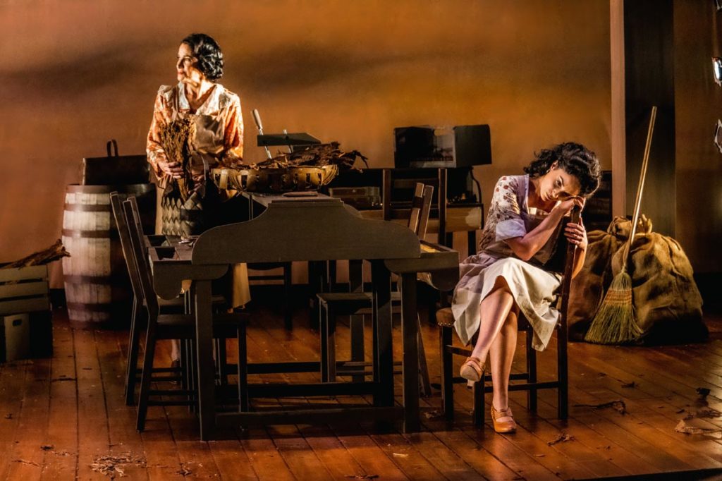 Anna In The Tropics Anna In The Tropics